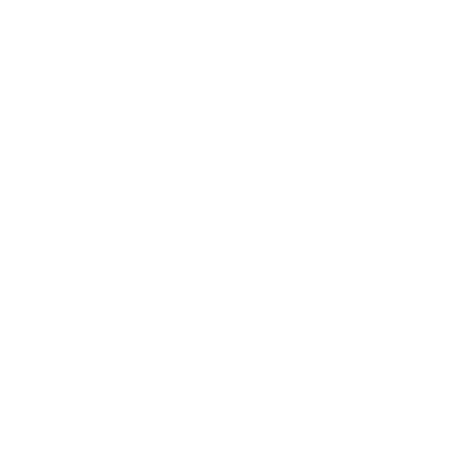 Snowflake-_1_ - Energetic Efficiency