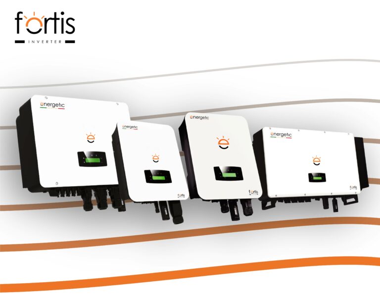 Inverter-Fortis-1-768x614